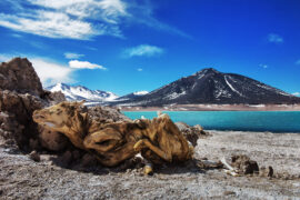 Postales del Infinito