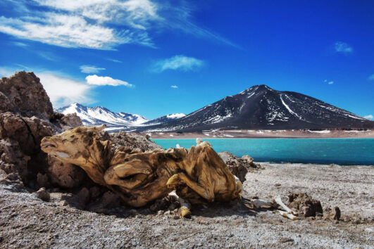 Postales del Infinito